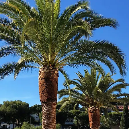 The Address 5* Cassis