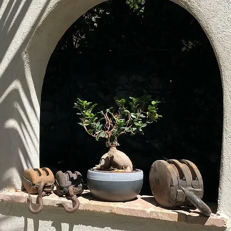 بيت ضيافة The Address كاسيس