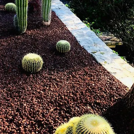 בית הארחה The Address קסיס