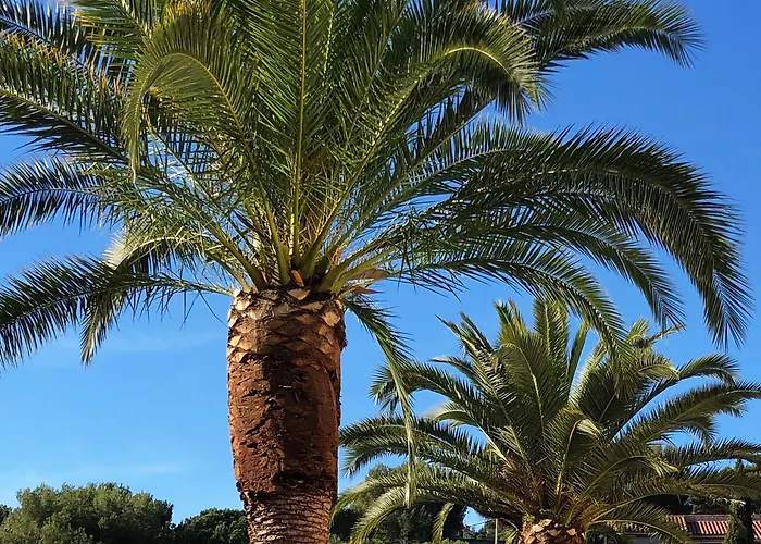 The Address 5* カシ