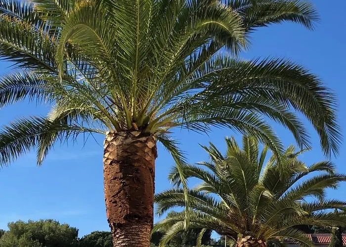 ゲストハウス The Address 5*