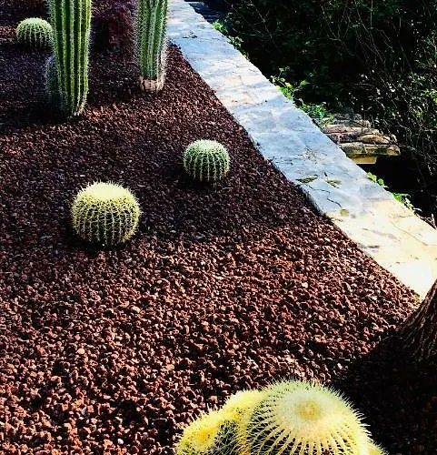 ゲストハウス The Address カシ